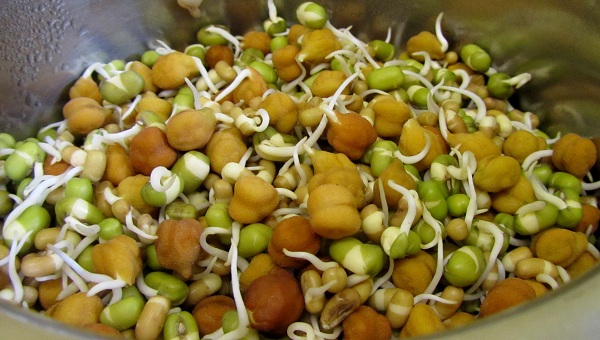sprouts salad recipe- sprouts