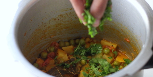 gujarati aloo matar add fresh coriander hara dhaniya